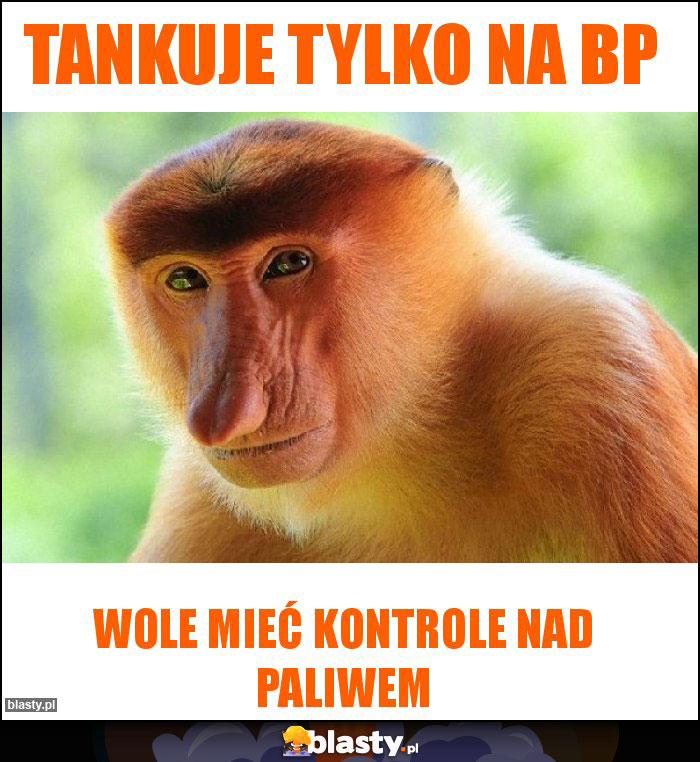 Tankuje tylko na BP Tankuje tylko na BP