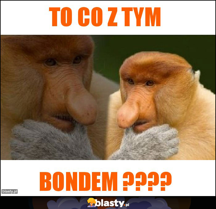 To co z tym To co z tym