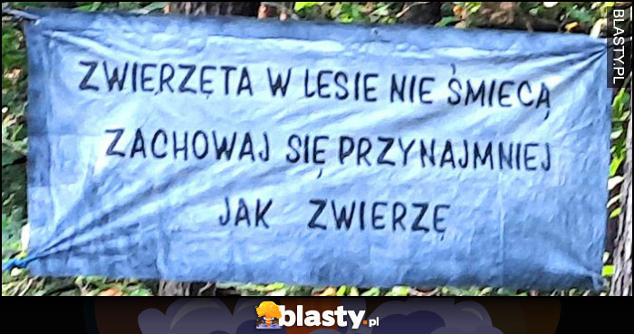 Zwierzęta w lesie nie śmiecą, zachowaj się przynajmniej jak zwierzę