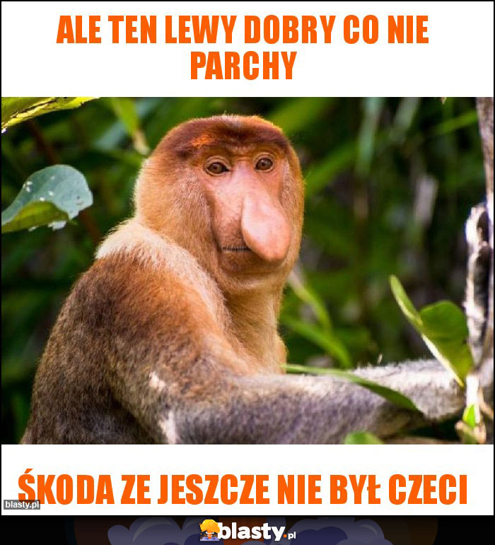 Ale ten Lewy dobry co nie Parchy Ale ten Lewy dobry co nie Parchy