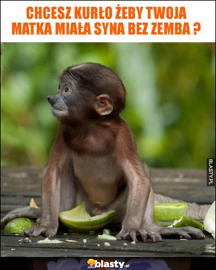 chcesz kurło żeby twoja matka miała syna bez zemba ? chcesz kurło żeby twoja matka miała syna bez zemba ?
