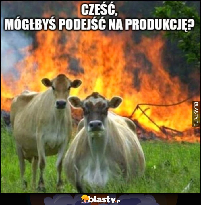 Cześć, mógłbyś podejść na produkcję? Pożar złe wkurzone krowy