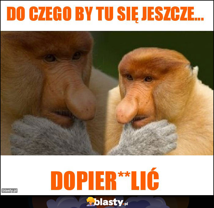 Do czego by tu się jeszcze... Do czego by tu się jeszcze...