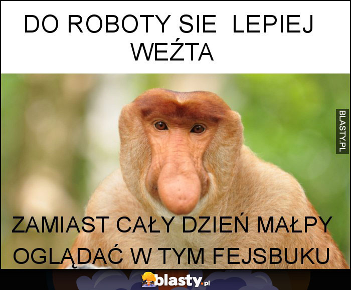 do roboty sie  lepiej  weźta