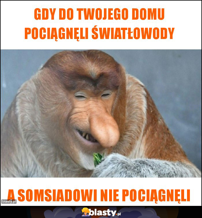 Gdy do twojego domu pociągnęli światłowody