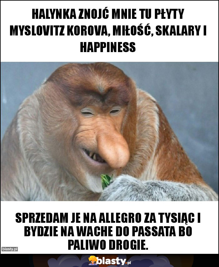 Halynka Znojć mnie tu płyty Myslovitz Korova, Miłość, Skalary i Happiness Halynka Znojć mnie tu płyty Myslovitz Korova, Miłość, Skalary i Happiness