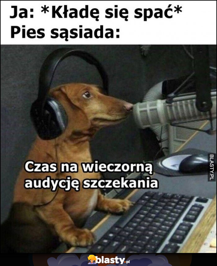 Ja kładę się spać, pies sąsiada: czas na wieczorną audycję szczekania