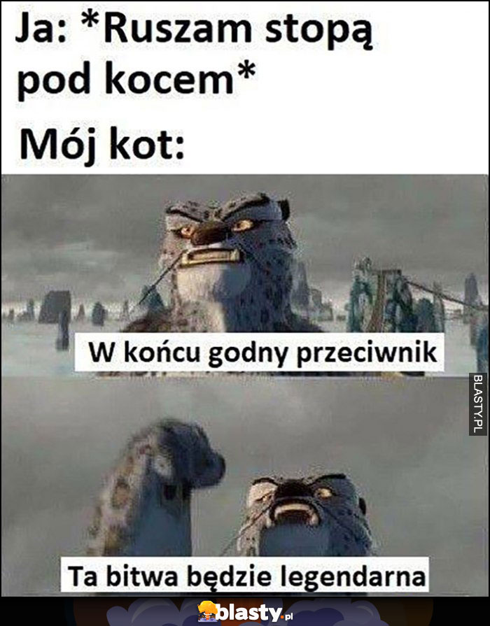 Ja: ruszam stopą pod kocem, mój kot: w końcu godny przeciwnik, ta bitwa będzie legendarna