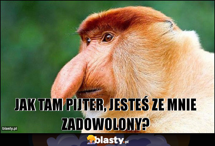 Jak tam Pijter, jesteś ze mnie zadowolony?