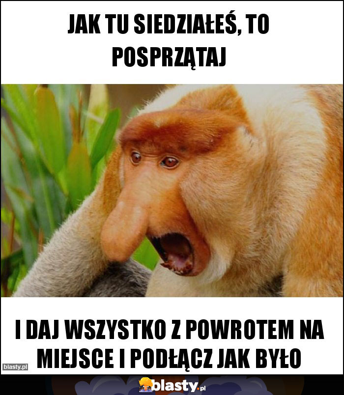 jak tu siedziałeś, to posprzątaj jak tu siedziałeś, to posprzątaj