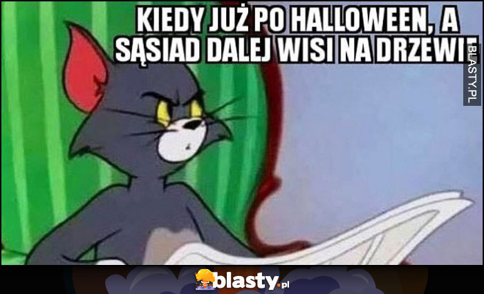 Kiedy już po Halloween a sąsiad dalej wisi na drzewie