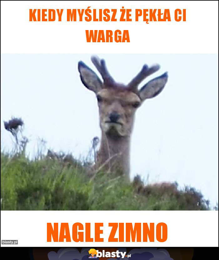 Kiedy myślisz że pękła Ci warga Kiedy myślisz że pękła Ci warga