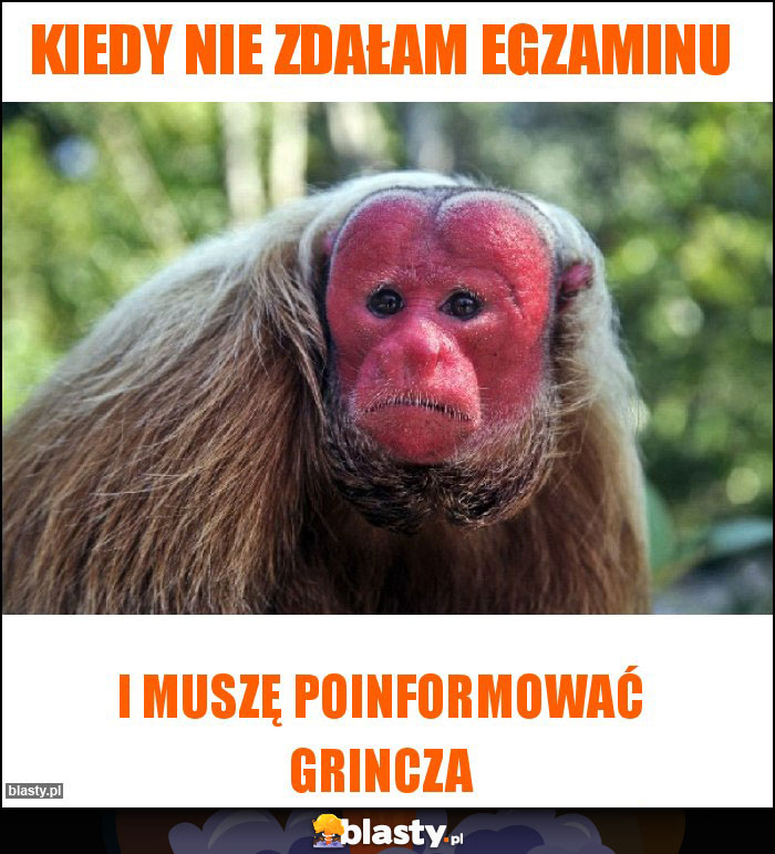 Kiedy nie zdałam egzaminu Kiedy nie zdałam egzaminu