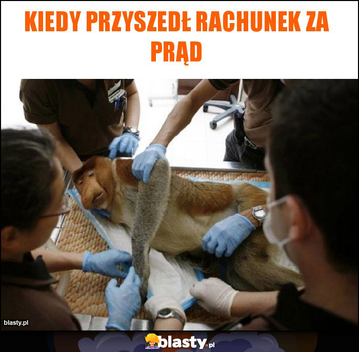 Kiedy przyszedł rachunek za prąd Kiedy przyszedł rachunek za prąd