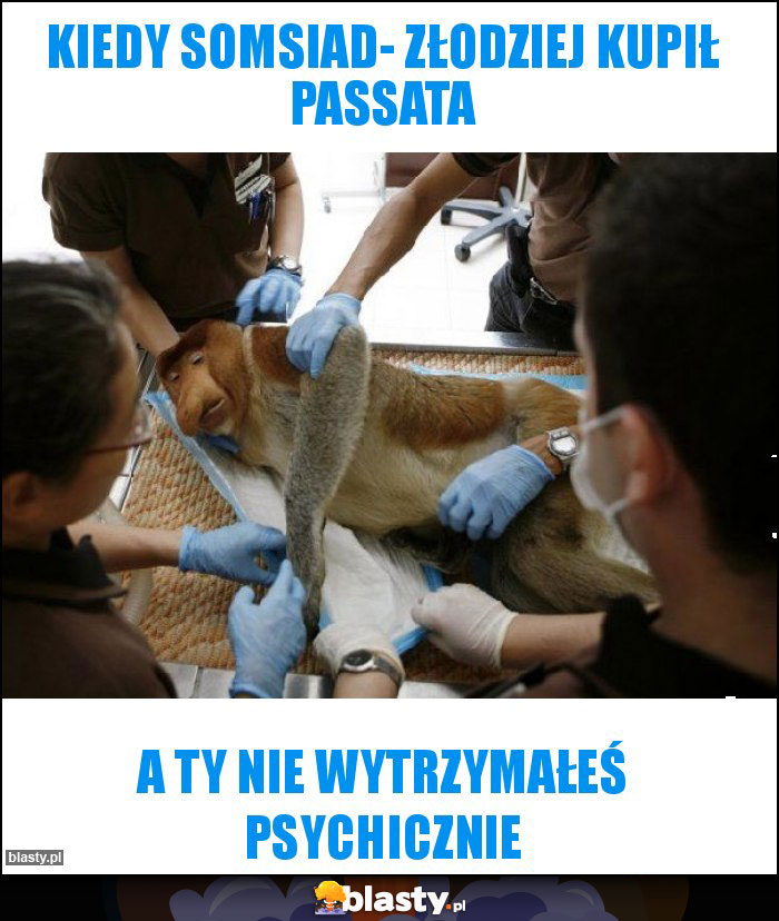 Kiedy somsiad- złodziej kupił passata Kiedy somsiad- złodziej kupił passata