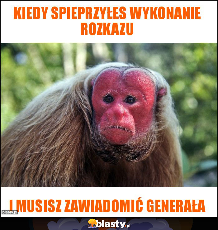 Kiedy spieprzyłes wykonanie rozkazu Kiedy spieprzyłes wykonanie rozkazu