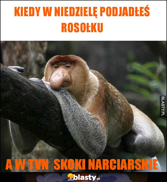 kiedy w niedzielę podjadłeś rosołku kiedy w niedzielę podjadłeś rosołku