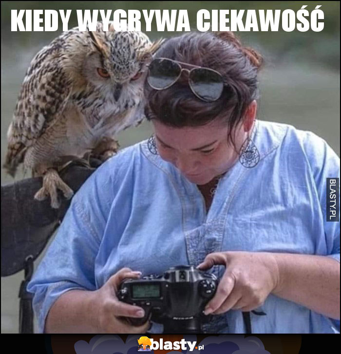 Kiedy wygrywa ciekawość Kiedy wygrywa ciekawość