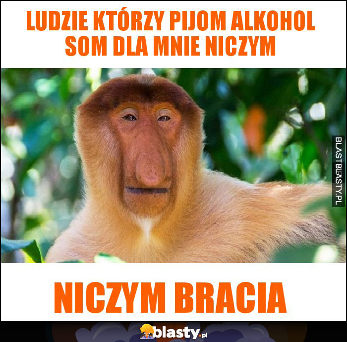 ludzie którzy pijom alkohol som dla mnie niczym