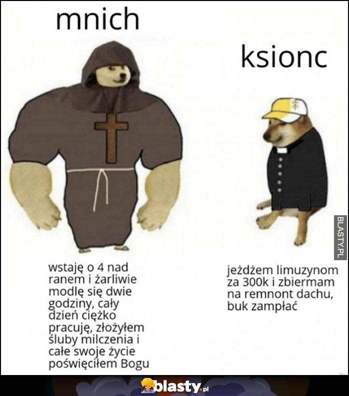 Mnich vs ksiąc porównanie pies pieseł doge