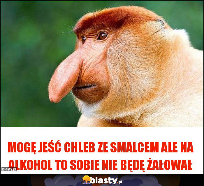 Mogę jeść chleb ze smalcem ale na alkohol to sobie nie będę żałował Mogę jeść chleb ze smalcem ale na alkohol to sobie nie będę żałował