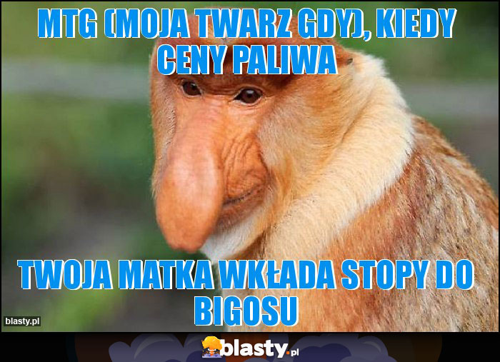 MTG (moja twarz gdy), kiedy ceny paliwa MTG (moja twarz gdy), kiedy ceny paliwa