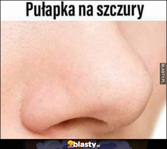 Pułapka na szczury nos dosłownie narkotyki