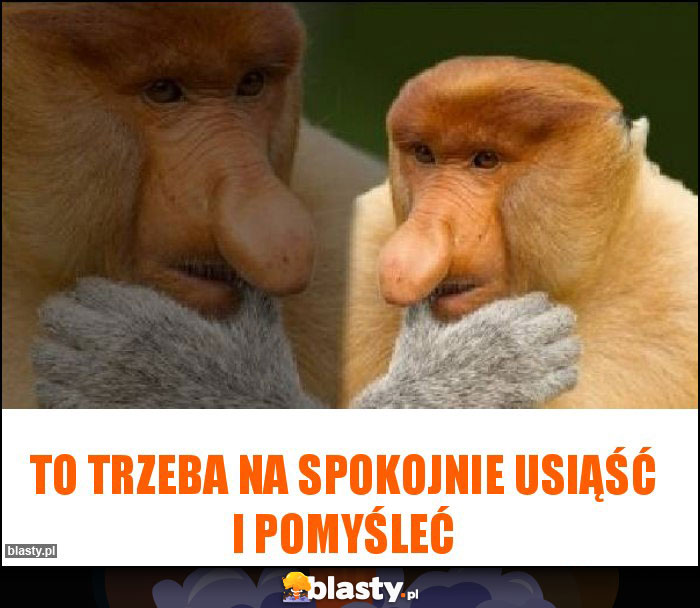 To trzeba na spokojnie usiąść i pomyśleć