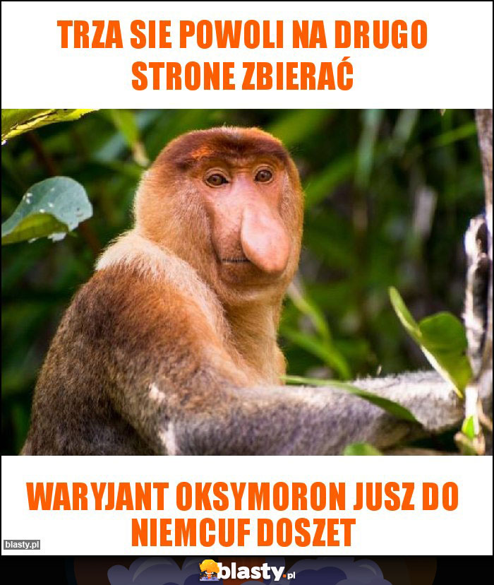 Trza sie powoli na drugo strone zbierać Trza sie powoli na drugo strone zbierać