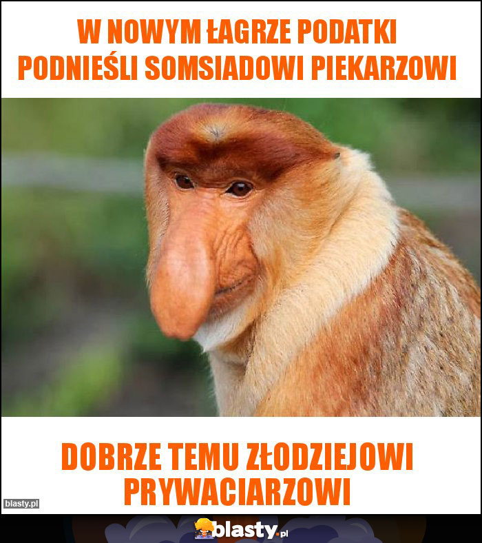 W Nowym Łagrze podatki podnieśli somsiadowi piekarzowi