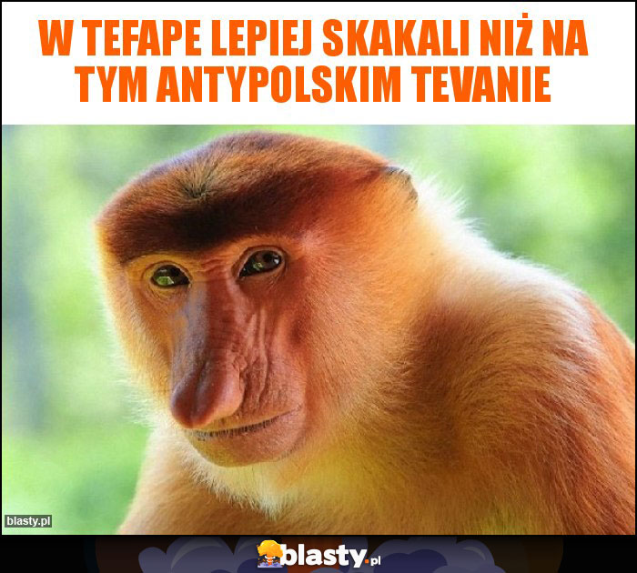 W tefape lepiej skakali niż na tym antypolskim tevanie W tefape lepiej skakali niż na tym antypolskim tevanie