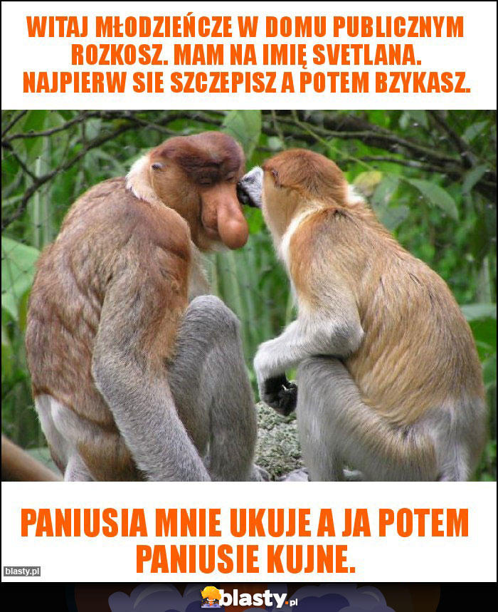 Witaj młodzieńcze w domu publicznym rozkosz. Mam na imię Svetlana. Najpierw sie szczepisz a potem bzykasz. Witaj młodzieńcze w domu publicznym rozkosz. Mam na imię Svetlana. Najpierw sie szczepisz a potem bzykasz.