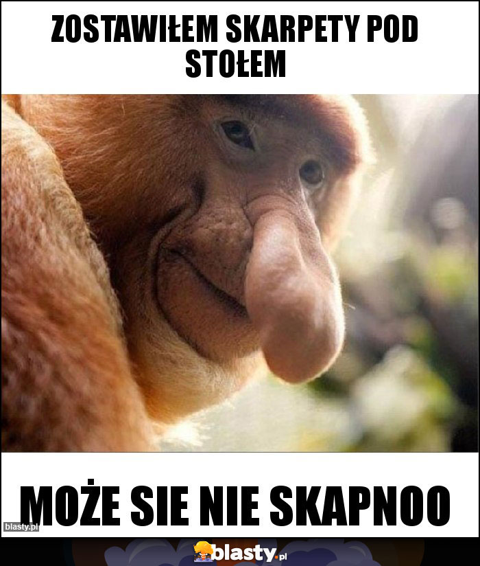 Zostawiłem skarpety pod stołem