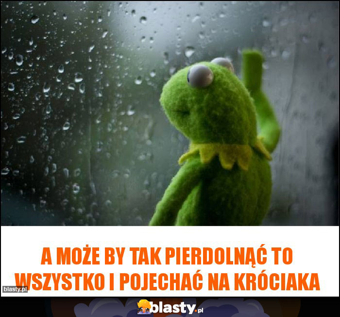A może by tak pierdolnąć to wszystko i pojechać na króciaka A może by tak pierdolnąć to wszystko i pojechać na króciaka