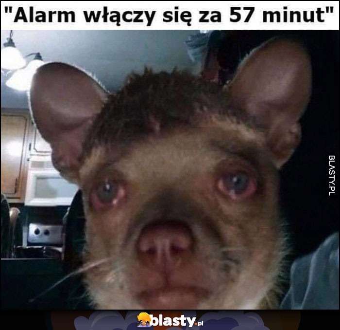 Alarm włączy się za 57 minut niewyspany zmęczona mina