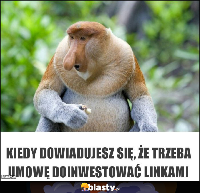 Kiedy dowiadujesz się, że trzeba umowę doinwestować linkami Kiedy dowiadujesz się, że trzeba umowę doinwestować linkami