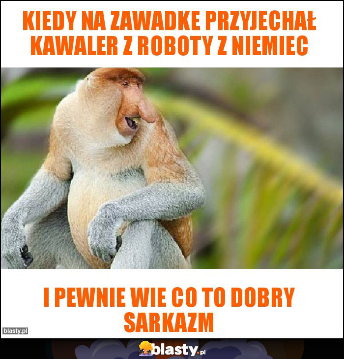 Kiedy na zawadke przyjechał kawaler z roboty z Niemiec