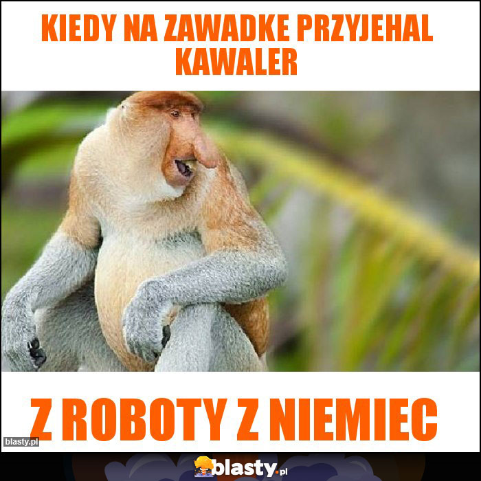Kiedy na zawadke przyjehal kawaler Kiedy na zawadke przyjehal kawaler
