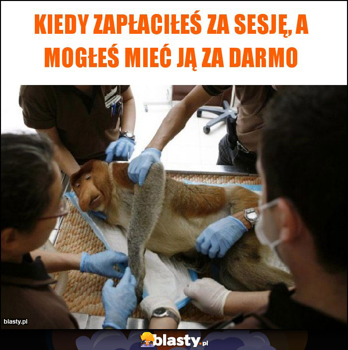 Kiedy zapłaciłeś za sesję, a mogłeś mieć ją za darmo Kiedy zapłaciłeś za sesję, a mogłeś mieć ją za darmo