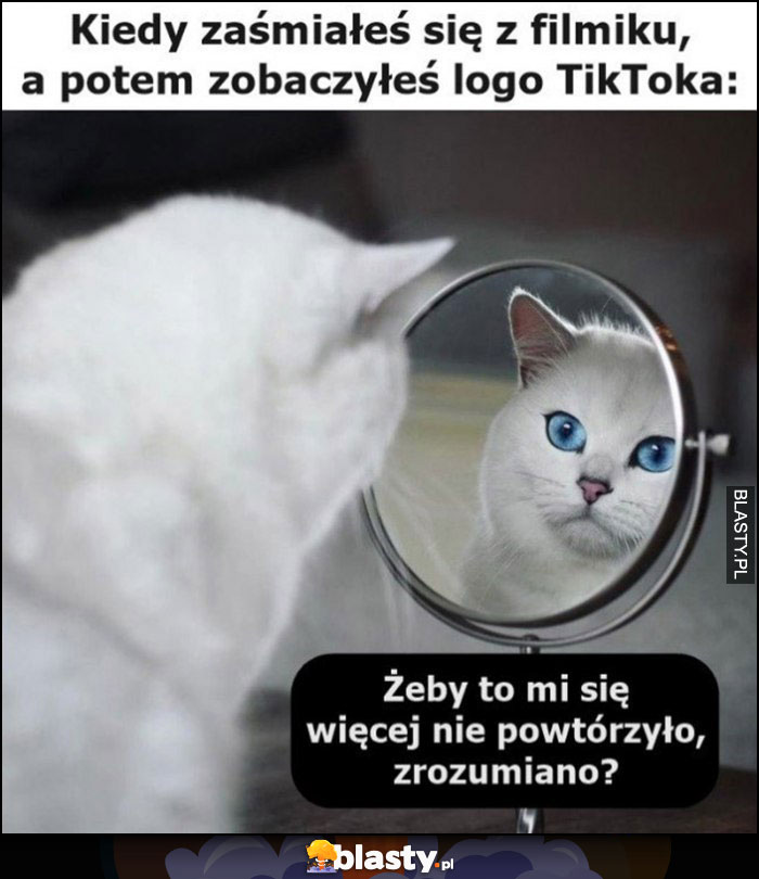 Kiedy zaśmiałeś sie z filmiku a potem zobaczyłeś logo tiktoka kot: zeby mi się to więcej nie powtórzyło