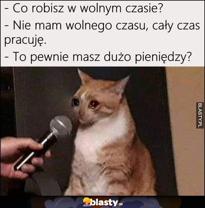 Kot co robisz w wolnym czasie? Nie mam wolnego czasu, cały czas pracuję to pewnie masz dużo pieniędzy? Płacze