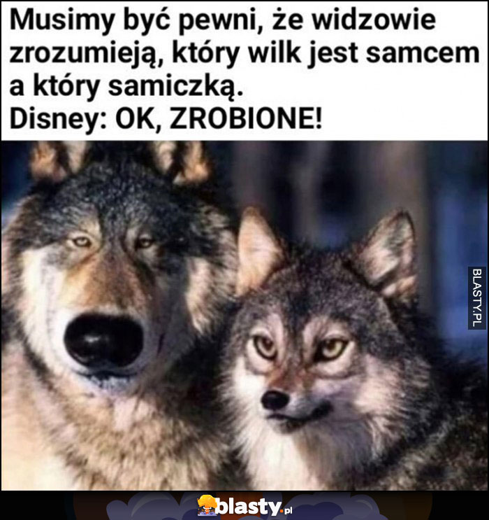 Musimy być pewni, że widzowie zrozumieją który wilk jest samcem, a który samiczką. Disney: ok zrobione