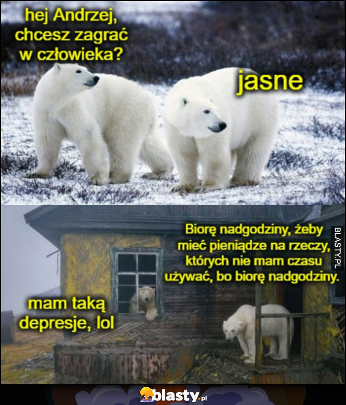 Niedźwiedzie: hej Andrzej chcesz zagrać w człowieka? Mam taką depresję lol, biorę nadgodziny żeby mieć kasę na rzeczy których nie mam czasu używać bo biorę nadgodziny