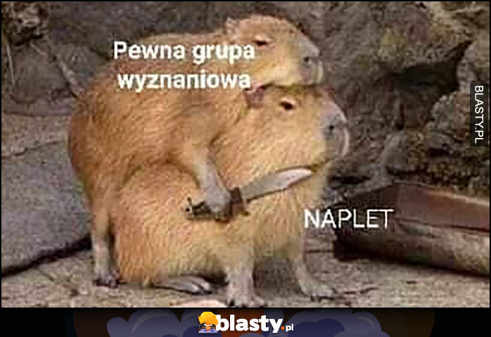 Pewna grupa wyznaniowa vs naplet przykłada nóż