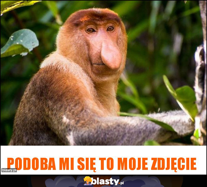 Podoba mi się to moje zdjęcie Podoba mi się to moje zdjęcie