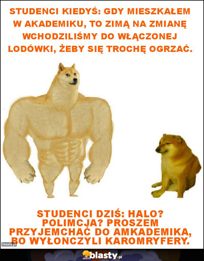 Studenci kiedyś: Gdy mieszkałem w akademiku, to zimą na zmianę wchodziliśmy do włączonej lodówki, żeby się trochę ogrzać. Studenci kiedyś: Gdy mieszkałem w akademiku, to zimą na zmianę wchodziliśmy do włączonej lodówki, żeby się trochę ogrzać.