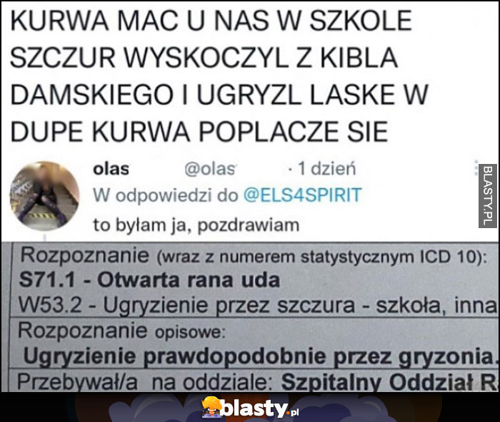 U nas w szkole szczur wyskoczył z kibla i ugryzł laskę w dupę, to byłam ja, pozdrawiam