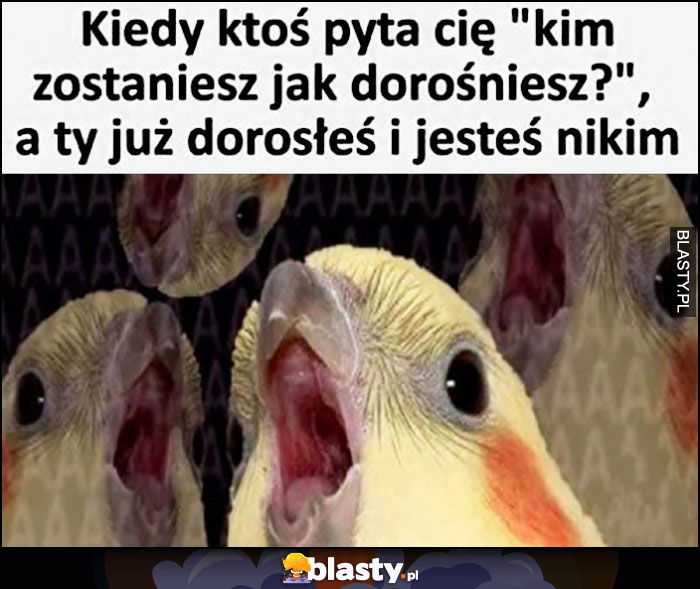 Kiedy ktoś pyta cię kim zostaniesz jak dorośniesz a ty już dorosłeś i jesteś nikim papuga