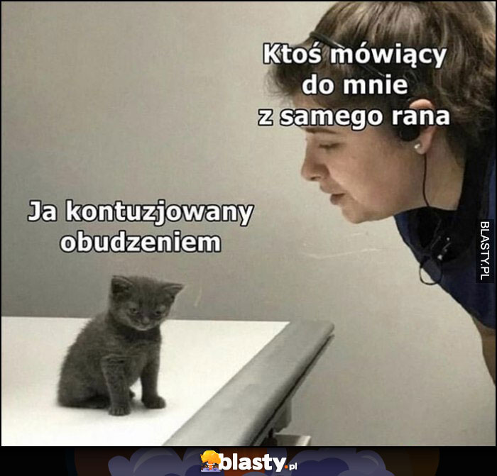 Kot ja kontuzjowany obudzeniem vs ktoś mówiący do mnie z samego rana kot kotek