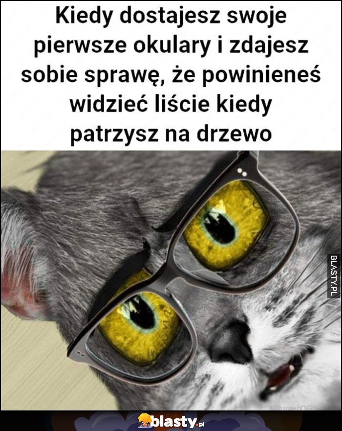 Kot kiedy dostajesz swoje piersze okulary i zdajesz sobie sprawę, że powinieneś widzieć liście kiedy patrzysz na drzewo